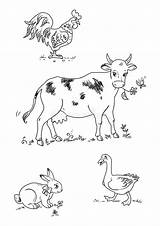 Allevamento Animali Gruppo Fumetto Coloritura Illustrazione sketch template