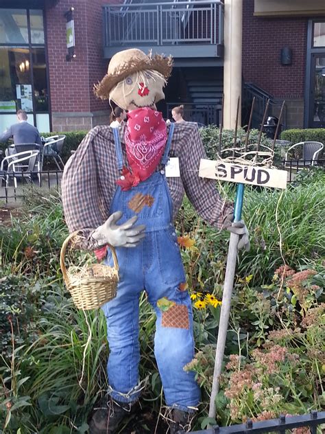spud farmer scarecrow buildascarecrowday scarecrow costume hay