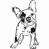 Terrier Boston Coloring Pages Getdrawings sketch template