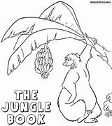 Coloring Jungle Book Pages Colouring Baloo Clipart Bagheera Library Print Junglebook Popular Codes Insertion sketch template