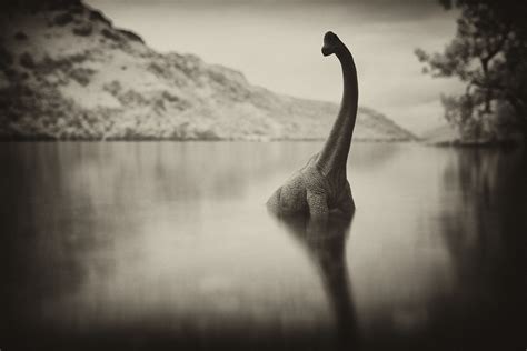year hunt  loch ness monster yields unexpected results fortune