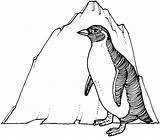 Penguin Coloring Getdrawings Chinstrap sketch template