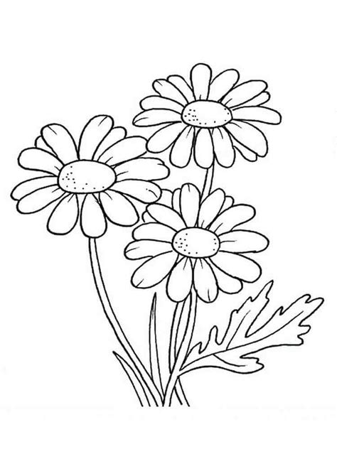 fall flowers coloring pages  getdrawings