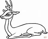 Deer Coloring Roe Pages Clipart Clipartbest Sits Antelope Gif Color sketch template