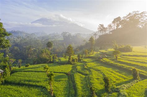 Las 10 Mejores Cosas Que Hacer En Ubud Bali