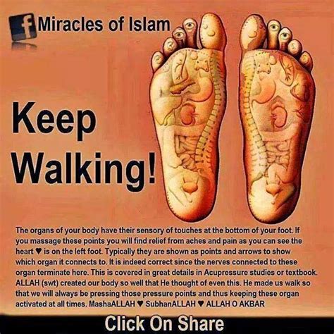 119 Best Images About Scientific Islam On Pinterest Medicine Holy