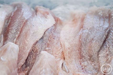 barramundi skin   kg   australias  popular fish
