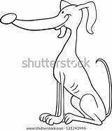 Coloring Greyhound Dog Cartoon Illustration Funny Book Shutterstock Search sketch template