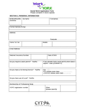 social work application  template pdffiller