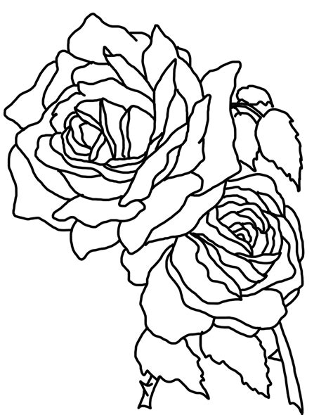 small rose coloring pages iremiss