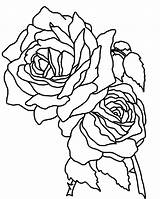 Coloring Roses Pages Rose Flower Single Two Realistic Printable Drawing Skull Stem Cross Mandala Long Bunch Color Flowers Skulls Getcolorings sketch template