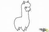 Step Drawingnow Lama Llamas Dessins Alpaca Sharpie sketch template