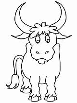 Taureau Vaca Vacas Colorat Imprimer Toro Toros Colorir Bull3 Animaux Animales Planse Animale Vache Domestice Copii Fise sketch template