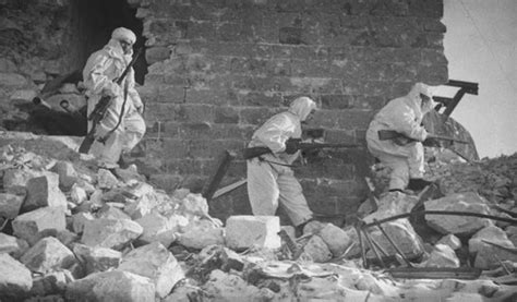 Stalingrad Deadly Battle Of Wwii Is It True