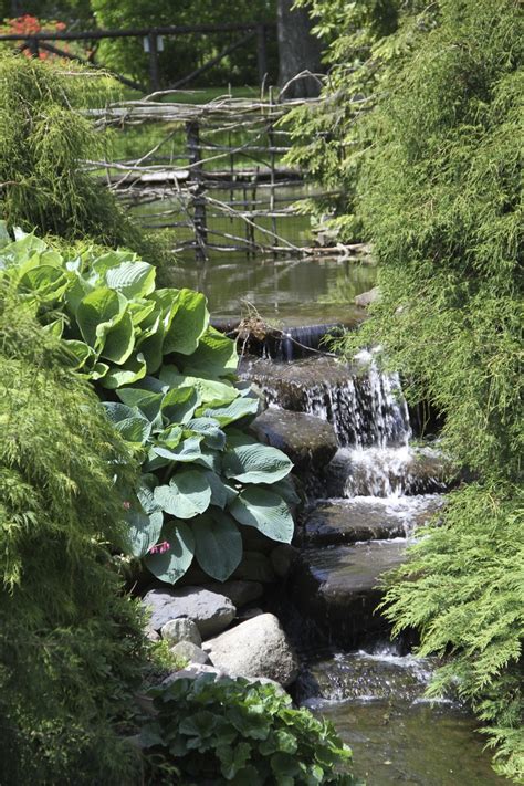 visit the halifax public gardens off spring garden rd for a feeling of nature and wildlife