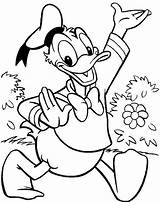 Coloring Duck Donald Pages Face Mickey Mouse Popular Print sketch template