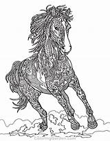 Coloring Pages Horse Adult Animal Printable Coloringgarden Colouring Horses Adults Mandala Animals Color Book Spirit Colour Pdf Drawings Patterns Description sketch template