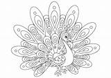 Paon Pavos Coloriage Peacocks Adultos Pfauen Paons Coloriages Erwachsene Malbuch Adulti Enfantin Justcolor Animales Très Animaux sketch template