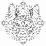 Coloring Kelpie Dogs Book Australian Colouring 88kb 370px Decorative Serenity Dp Adult sketch template