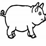 Bacon Coloring Clipart Drawing Getdrawings Similar sketch template