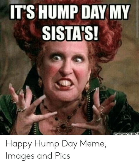 its hump day my sista s happy hump day meme images and pics hump day