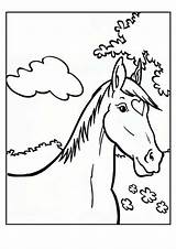 Kleurplaat Kleurplaten Amika Paard Paarden Jaar Paardenhoofd Kinderen Makkelijk Gefeliciteerd Veulens Malvorlage Omnilabo Printen Uitprinten Andalusisch Eenhoorn Kleuren Kleurplaatjes Downloaden sketch template
