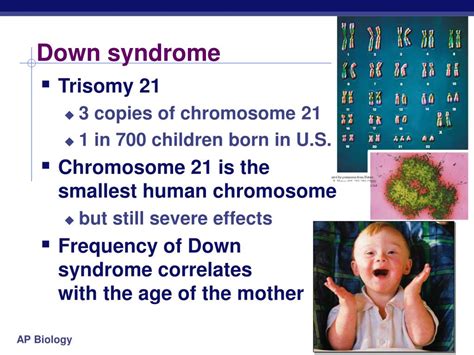ppt errors of meiosis chromosomal abnormalities powerpoint