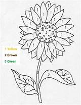 Sunflower Numbers Zahlen Cricket Wireless Malen Hellokids Blume Hueneme Drucken Farben Sonnenblumen sketch template