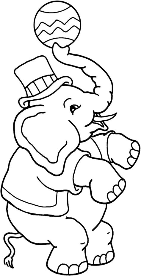 circus elephant adult page coloring pages