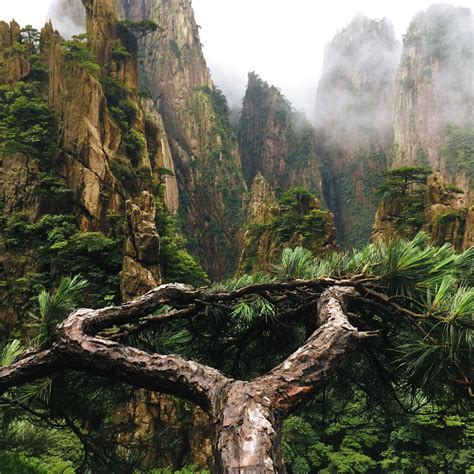 yellow mountain  clouds huangshan china oc  rearthporn