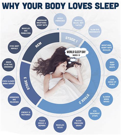 Some Interesting Sleep Facts Kauvery Hospital