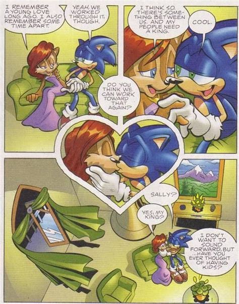 sonic refinding sally after time got all messed up and he