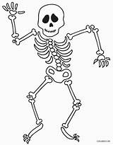 Skelett Skeletons Ausmalbilder Getdrawings Bone Malvorlagen Cool2bkids Ausdrucken Kostenlos sketch template