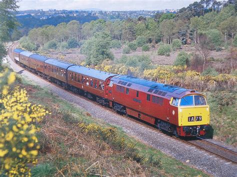 Class 52 Western Courier Photograph By Ted Denyer Fine Art America