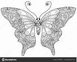 Kleurplaten Volwassenen Kleurplaat Vlinder Vlinders Printen Volwassen Butterfly Moeilijke Tekeningen Downloaden Uitprinten Tekening Honden Zentangle sketch template