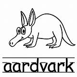 Aardvark Coloring Mammal Getdrawings sketch template