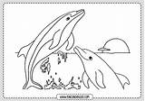 Delfines Dibujo Delfin Rincondibujos Rincon Navegación sketch template