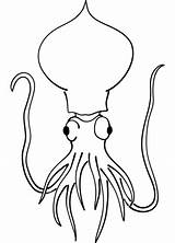 Squid Coloring Pages Printable Drawing Categories sketch template