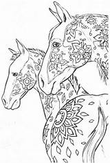 Pferde Colouring Malvorlagen Erwachsene Ausmalen sketch template