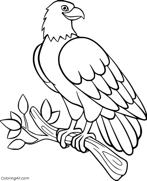 printable eagle coloring pages  vector format easy  print