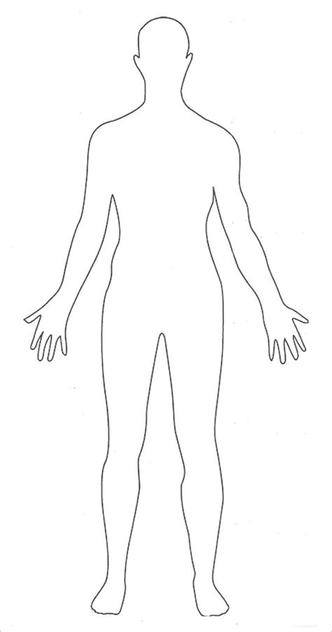 outline   human body printable