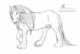 Gypsy Lineart Stallion Deviantart Favourites Add sketch template