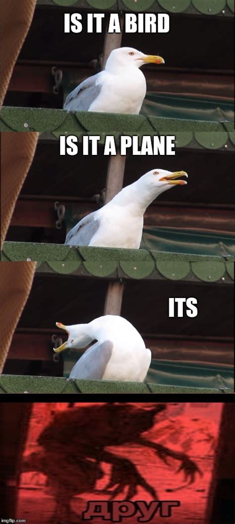 inhaling seagull meme imgflip