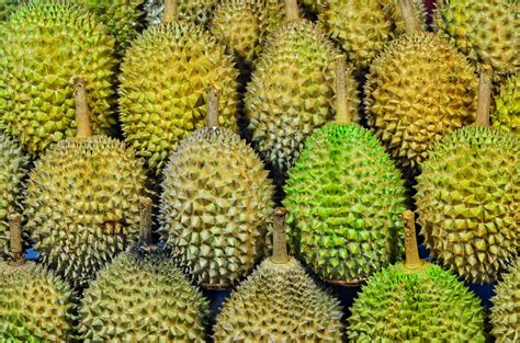 unique green tropical fruit seeds del mundo