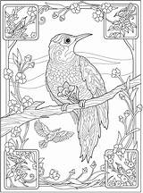Coloring Pages Book Doverpublications Publications Dover Colorir Livro Para Printable Bird Adult Welcome Pasta Escolha sketch template