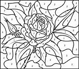 Coloring Number Rose Color Hard Printable Print sketch template