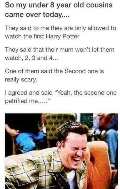 13 Best Harry Potter Jokes And Memes