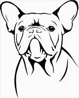 Bulldog Bull French Dog Drawing Coloring Pages Easy Bulldogs Drawings Draw American Cute Puppy Logo Frances Print Bucking Kids Sketch sketch template