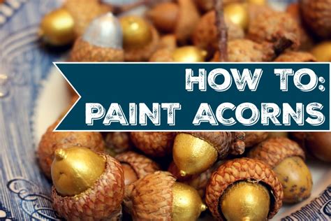paint acorns jenny   spot