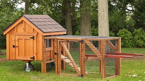 frame chicken coops eberly barnseberly barns